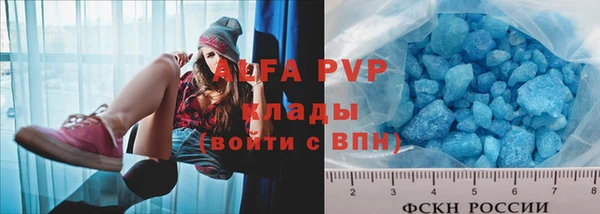 мдпв Вяземский