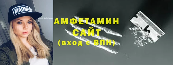 мдпв Вяземский