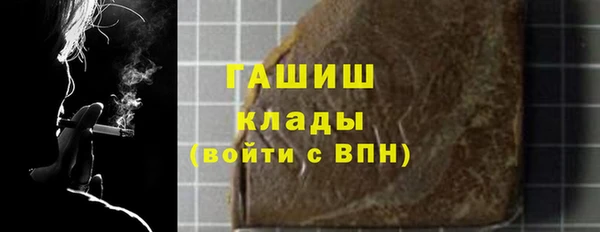 мдпв Вяземский