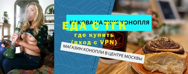 мдпв Вяземский