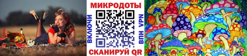 Галлюциногенные грибы Psilocybe  Купить  Пыталово 
